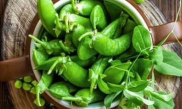 3 plant protein