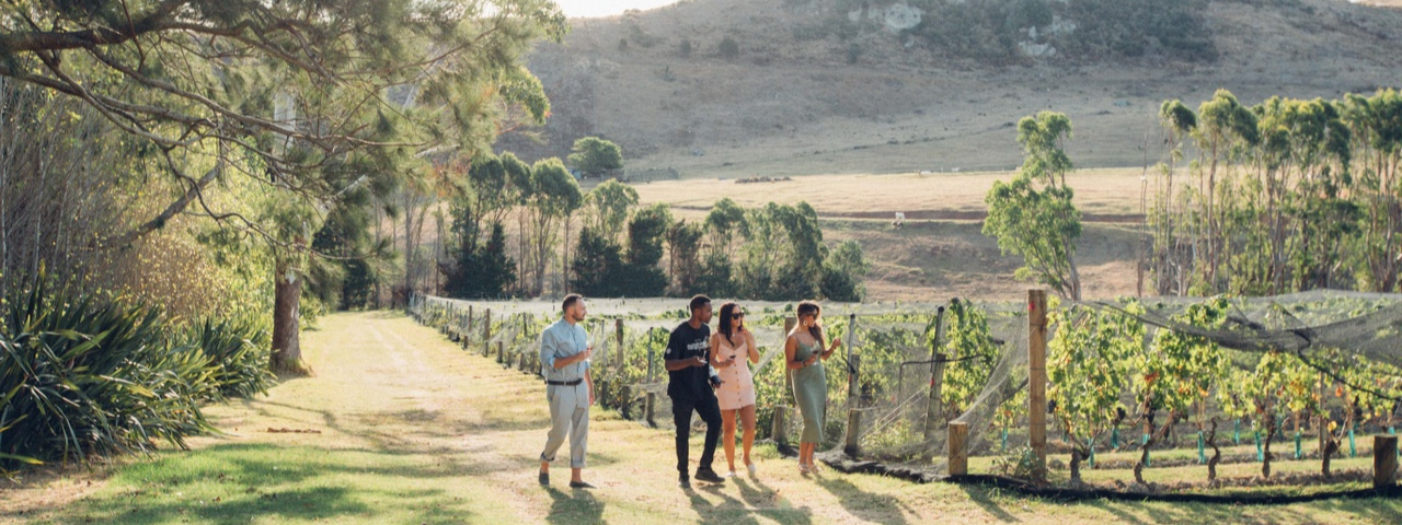 Friends in the vines, Stonyridge Vineyard