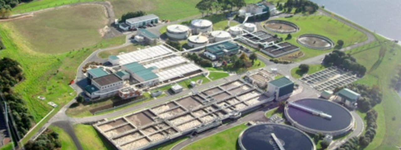 Mangere Banner.png 