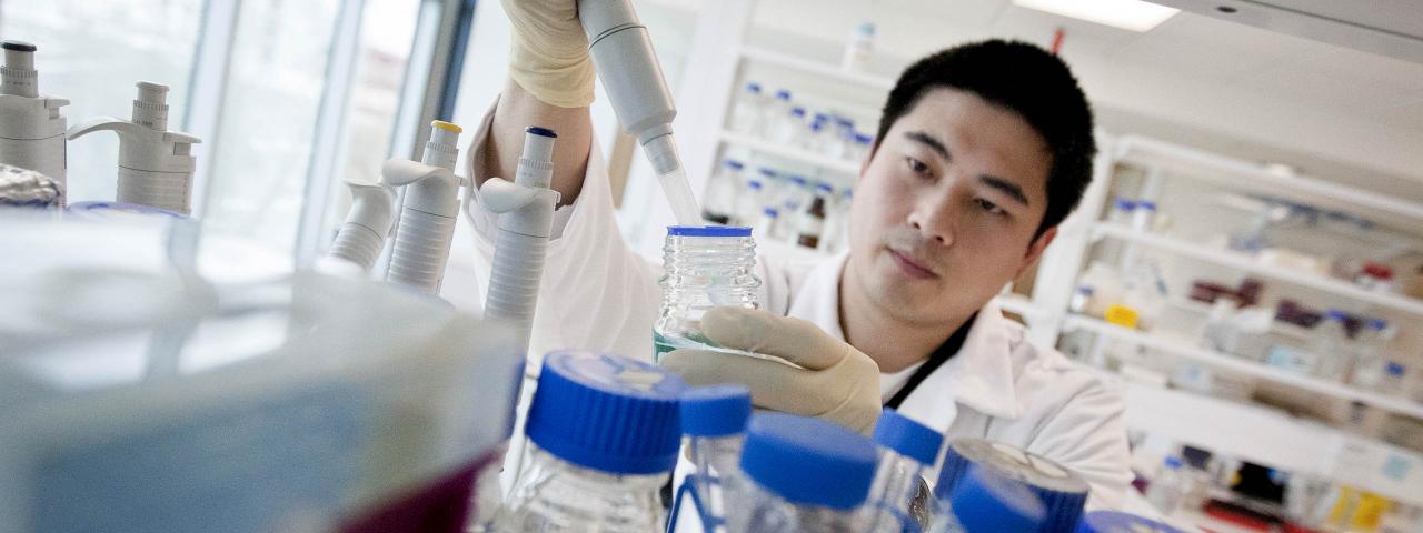 Scientist in the lab (credit: Auckland Council)