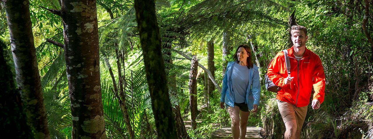 Couple on bush walk in Auckland