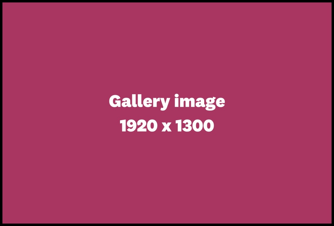 Microsite template card size - Gallery image