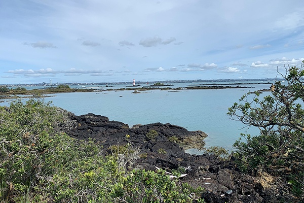 Studying in Auckland allows you to explore the city and the surrounding region.