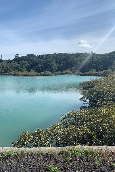 Studying in Auckland allows you to explore the city and the surrounding region.