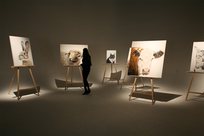 ic-studio23-white-animal-art Thumbnail