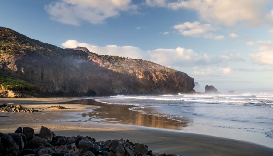 Bethells Beach