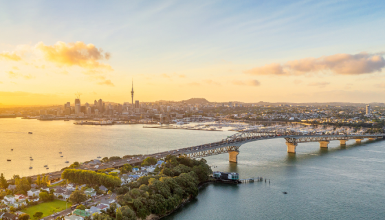 State of the City 2023 report - Header banner